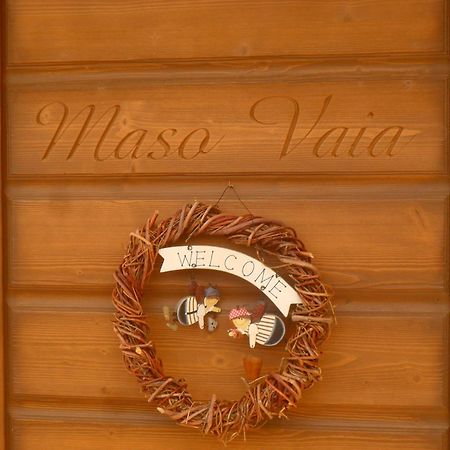 Bed and Breakfast Maso Vaia Cavalese Esterno foto