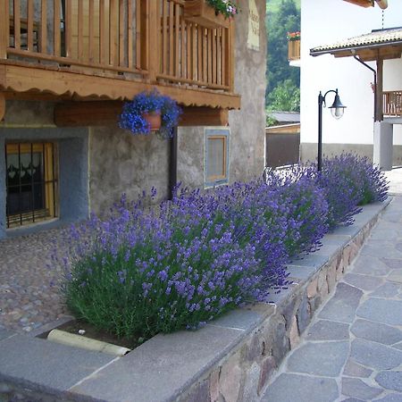 Bed and Breakfast Maso Vaia Cavalese Esterno foto