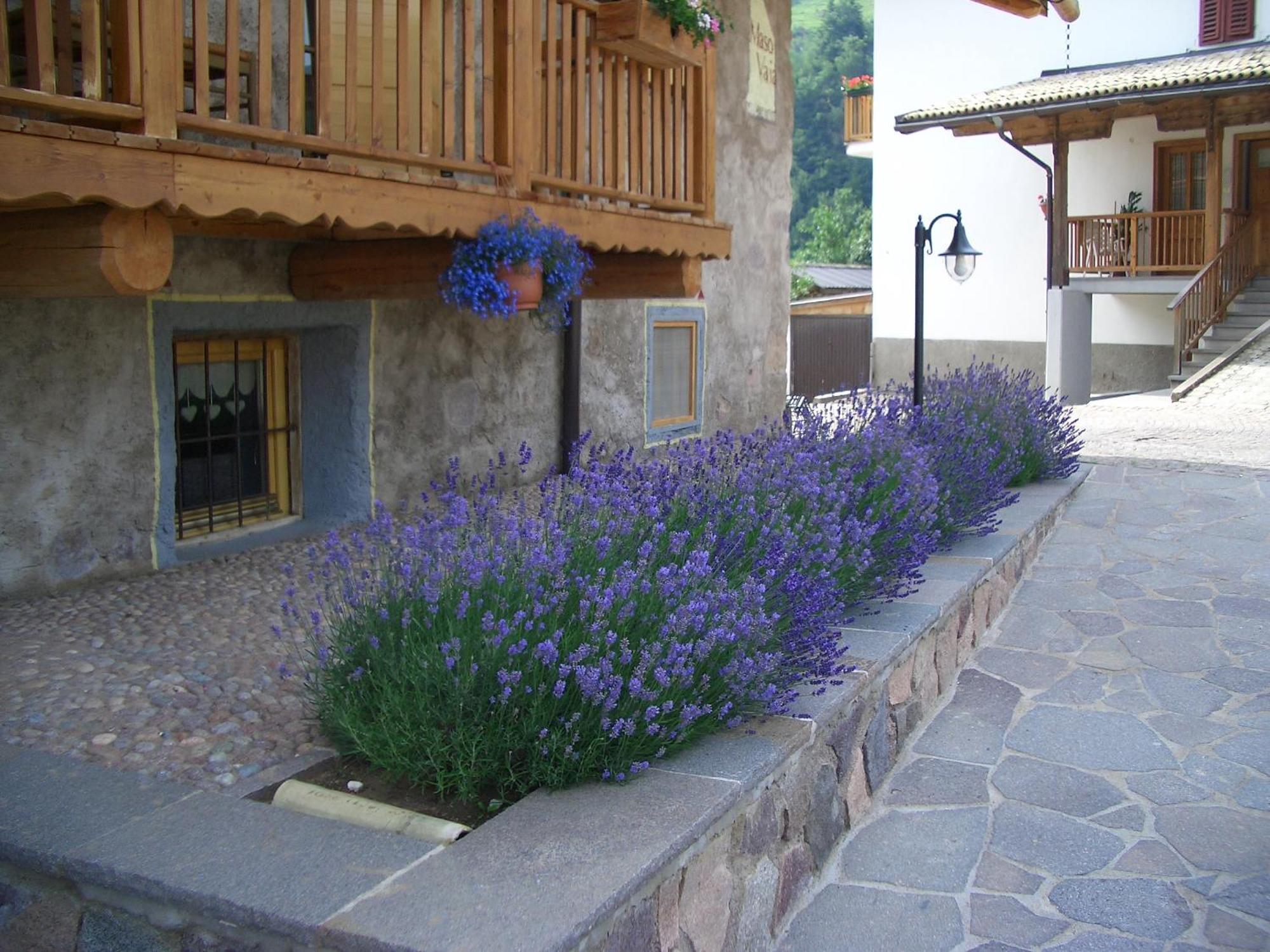 Bed and Breakfast Maso Vaia Cavalese Esterno foto